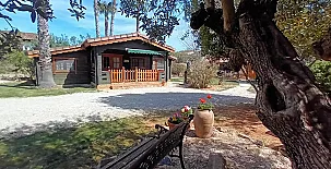 Complejo Rural Entre Viejos Olivos 0045