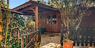 Complejo Rural Entre Viejos Olivos 0050