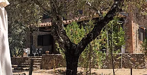 La Buñegosa 0027