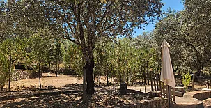 La Buñegosa 0029