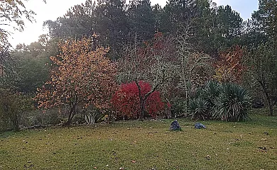 Cortijo Huerta Santa María en Galaroza (Huelva) - Foto 23