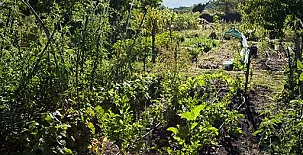 Reitoral de Chandrexa 0033