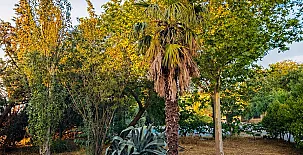 Finca el Molino 0061