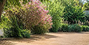 Finca el Molino 0067
