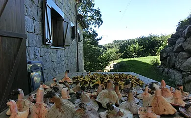 Mas Fel en Camprodon (Girona) - Foto 11