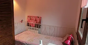 Mas Fel 0021