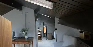 Mas Fel 0024