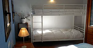 Mas Fel 0030