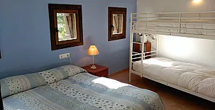 Mas Fel 0034