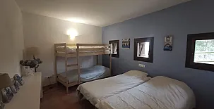 Mas Fel 0037