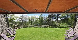 Mas Fel 0046