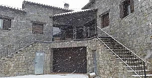 Mas Fel 0055