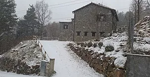 Mas Fel 0056