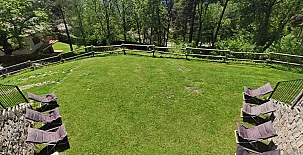 Mas Fel 0059