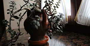 La Posada del Chano 0010