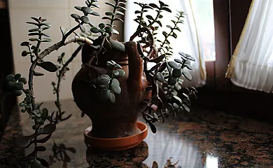 La Posada del Chano en Cangas del Narcea (Asturias) - Foto 10