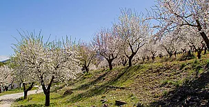 Cortijo Balzain Casas Rurales 0066