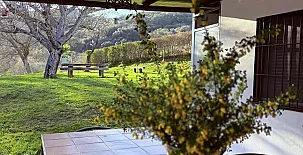 Orilla Del Hueznar 004