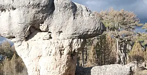 Apartamentos El Arca 0013