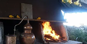 Apartamentos El Arca 0026