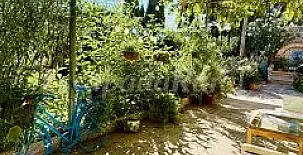 Finca el Rosario 004