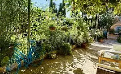 Finca el Rosario en Casas de los Pinos (Cuenca) - Foto 4