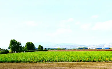 Casa rural Huerta Sartén en Pinos Puente (Granada) - Foto 20