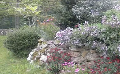 El Huyo en Entrambasaguas (Cantabria) - Foto 11