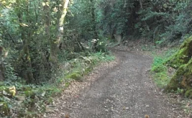 El Huyo en Entrambasaguas (Cantabria) - Foto 16