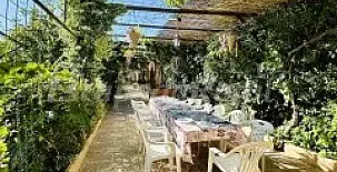 Finca el Rosario 0013