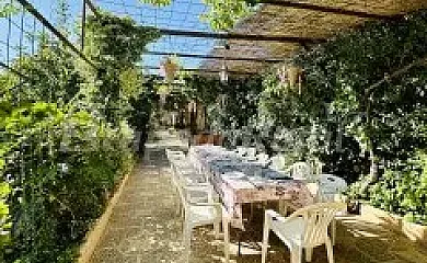 Finca el Rosario en Casas de los Pinos (Cuenca) - Foto 13