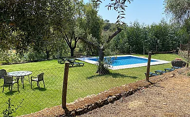 Soto de Nisa en Aceña la Borrega (Cáceres) - Foto 14