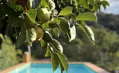 Casa Rural Orilla Del Hueznar en Cazalla de la Sierra (Sevilla) - Foto 11