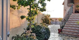 Flor de la Jara 0096