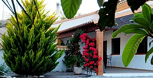 Cortijo Olivar Alto 008