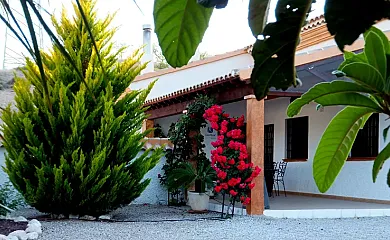 Cortijo Olivar Alto en Vélez Rubio (Almería) - Foto 8
