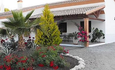 Cortijo Olivar Alto en Vélez Rubio (Almería) - Foto 2