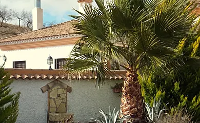 Cortijo Olivar Alto en Vélez Rubio (Almería) - Foto 18