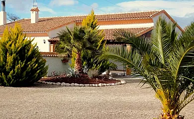 Cortijo Olivar Alto en Vélez Rubio (Almería) - Foto 23