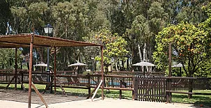 Molino El Mastral 0032