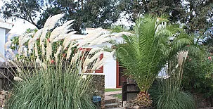 Molino El Mastral 0044