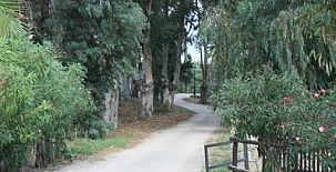 Molino El Mastral 0051