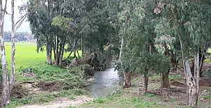Molino El Mastral 0053