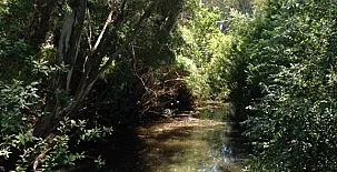 Molino El Mastral 0057