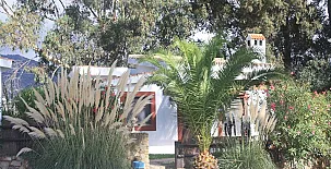 Molino El Mastral 0058
