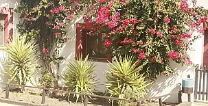 Molino El Mastral 0063