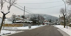 La Rosa de Pedro 0046