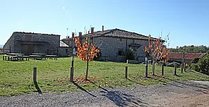 Magadins Nou y La Pallissa 0013