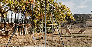 Casas Rurales Luis 0024