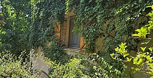 La Finca de Curro 0046